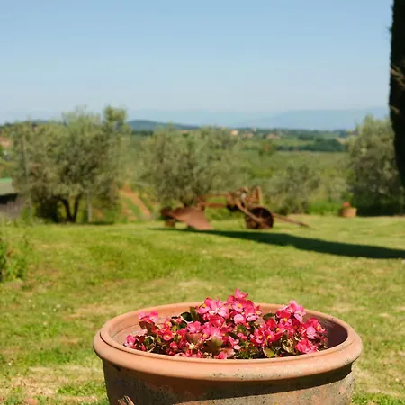 Country house Pozzo Dei Desideri By Posarellivillas