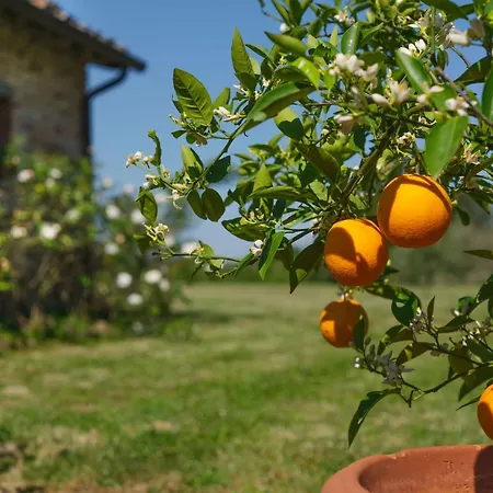 Casa di campagna Pozzo Dei Desideri By Posarellivillas *
