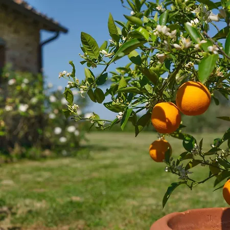 Country house Pozzo Dei Desideri By Posarellivillas *