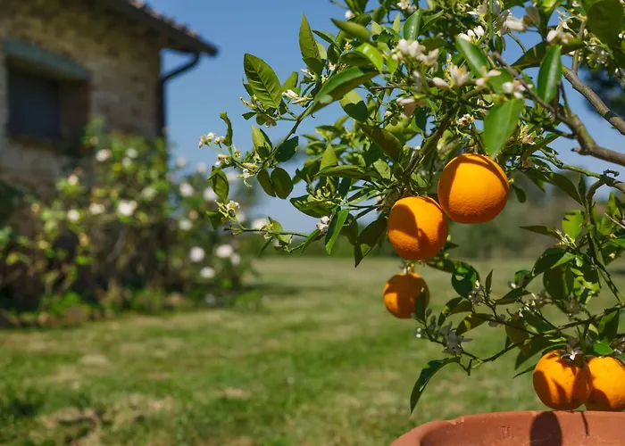 Casa di campagna Pozzo Dei Desideri By Posarellivillas *